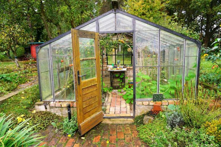 Greenhouse Flooring Ideas How To Choose The Best Greenhouse Floor   Brick Floor Greenhouse 768x512 