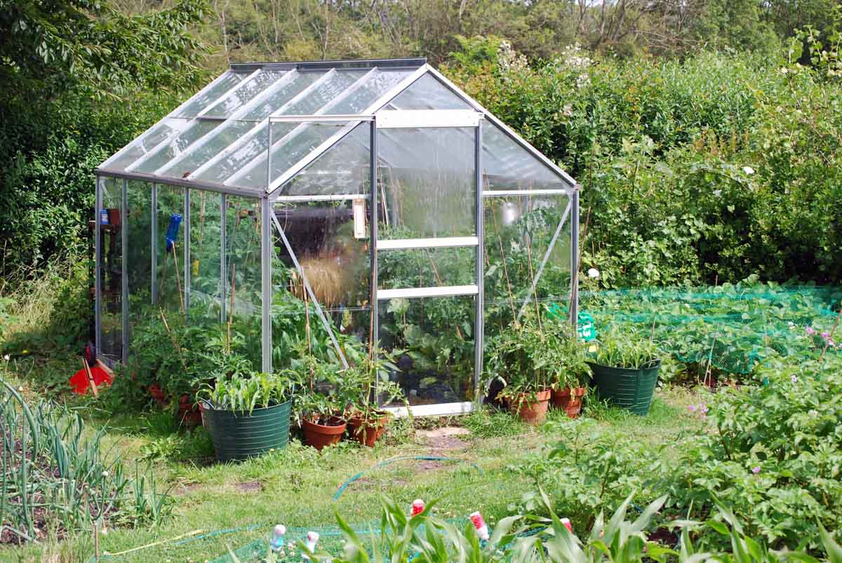 Glass Panelled Greenhouse 