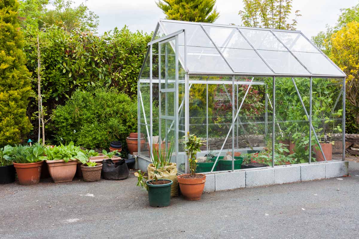 Greenhouse on Perimeter