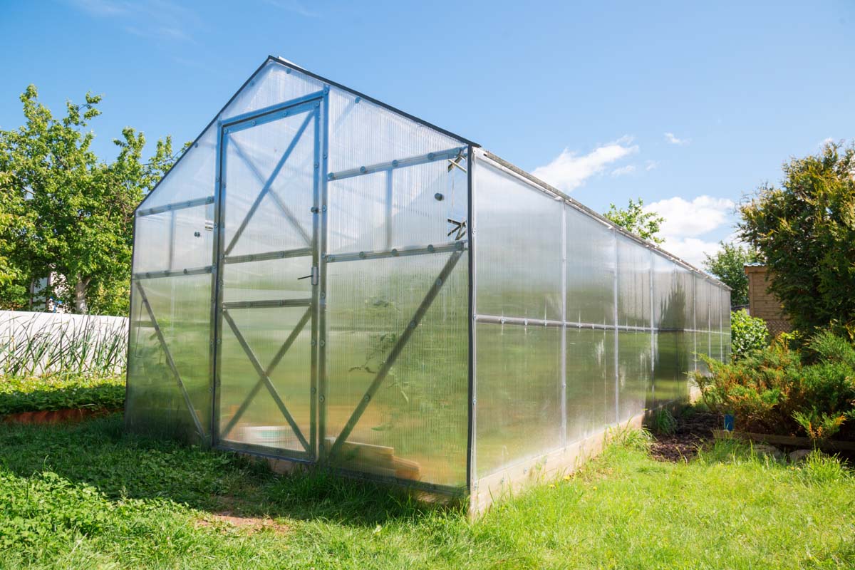 Greenhouses, their construction and equipment . Fig. 63.—Glazing with  double glazing points lower corner. The upper edge is kept inplace by the  bottom of the pane above it. Ad-ditional points are required