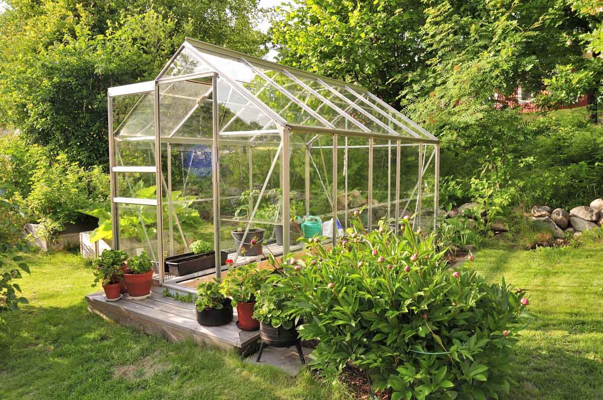 Small Greenhouse